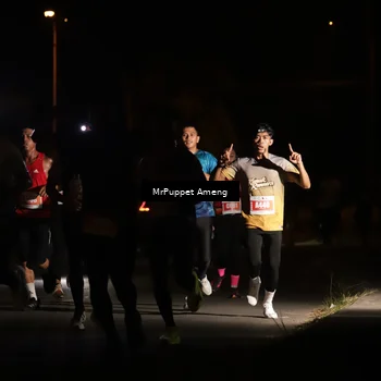 Runner Photo 4331069