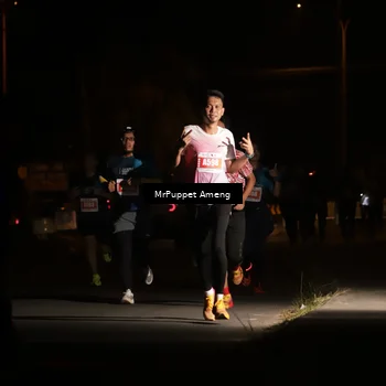 Runner Photo 4331079