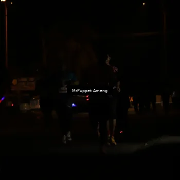 Runner Photo 4331082