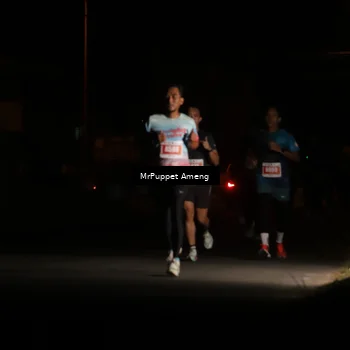 Runner Photo 4331091