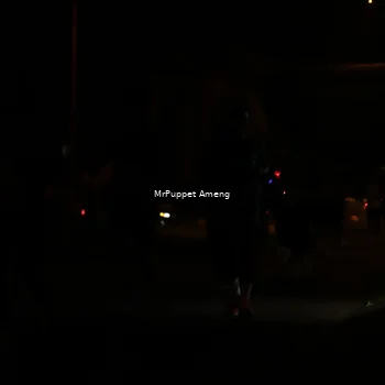 Runner Photo 4331094