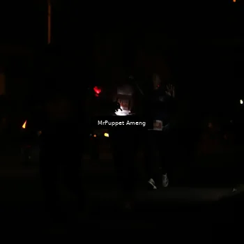 Runner Photo 4331099