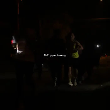 Runner Photo 4331100