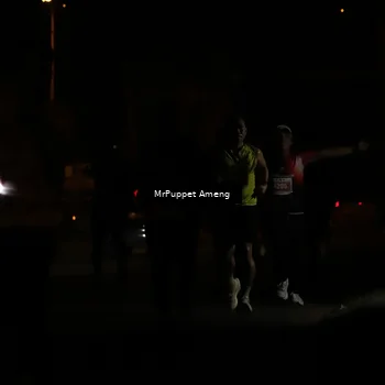 Runner Photo 4331104