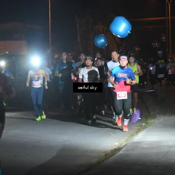 Runner Photo 4331109