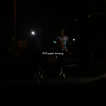 Runner Photo 4331113