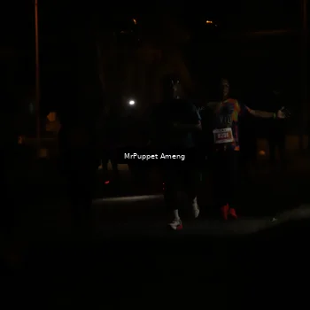 Runner Photo 4331119