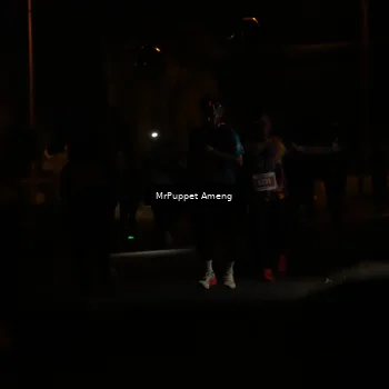 Runner Photo 4331120