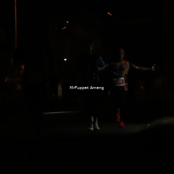 Runner Photo 4331121
