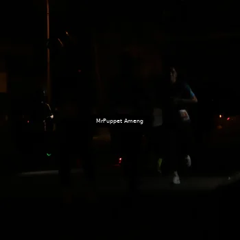 Runner Photo 4331122
