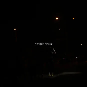 Runner Photo 4331138
