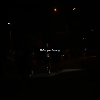 Runner Photo 4331150