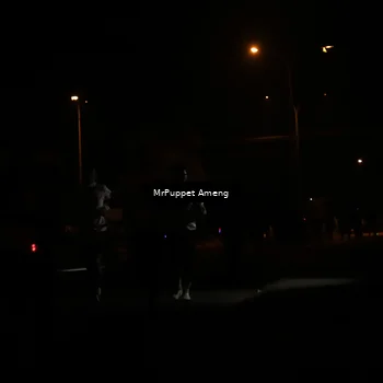 Runner Photo 4331153