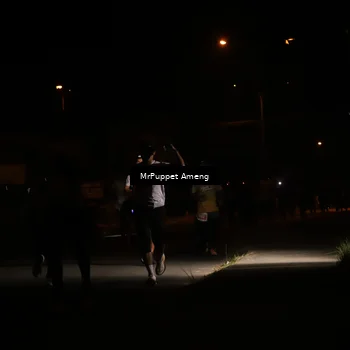 Runner Photo 4331154