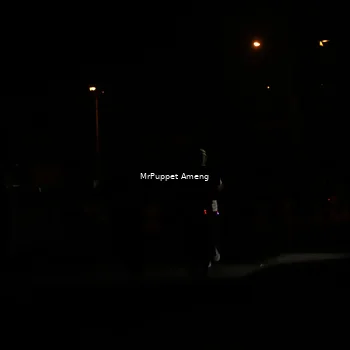 Runner Photo 4331155