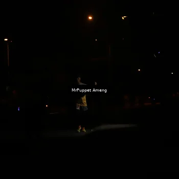 Runner Photo 4331156