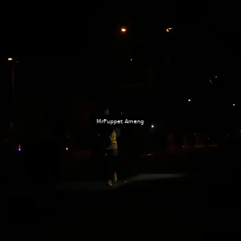 Runner Photo 4331160