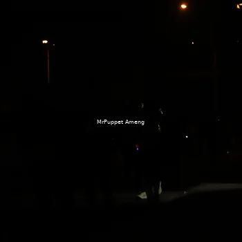Runner Photo 4331165