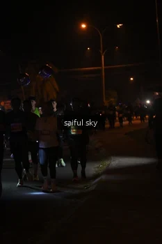 Runner Photo 4331166