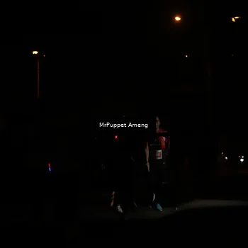Runner Photo 4331172