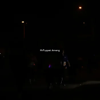 Runner Photo 4331173