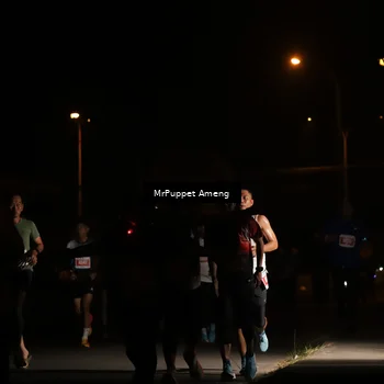 Runner Photo 4331175