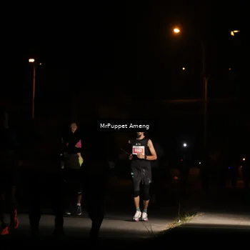 Runner Photo 4331185