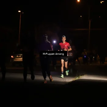 Runner Photo 4331197