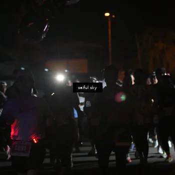 Runner Photo 4331199