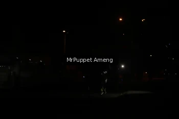 Runner Photo 4331213