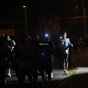 Runner Photo 4331215