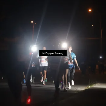 Runner Photo 4331216