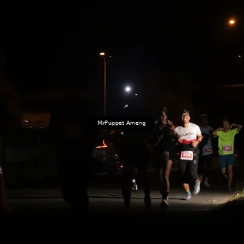 Runner Photo 4331219