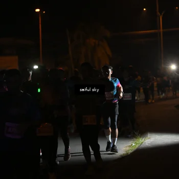 Runner Photo 4331232