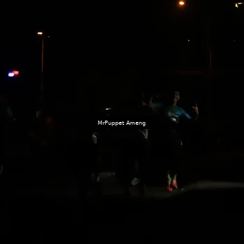 Runner Photo 4331244