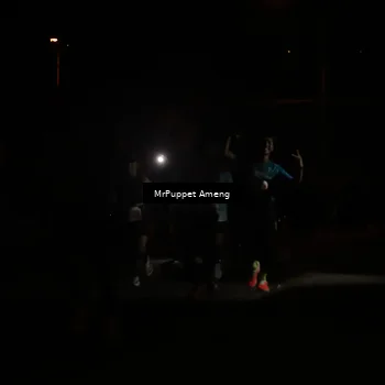 Runner Photo 4331246