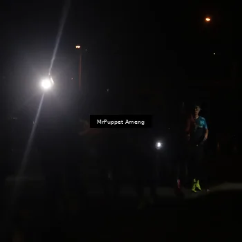 Runner Photo 4331247