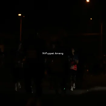 Runner Photo 4331248