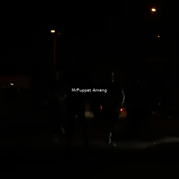 Runner Photo 4331249