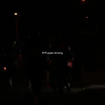 Runner Photo 4331250