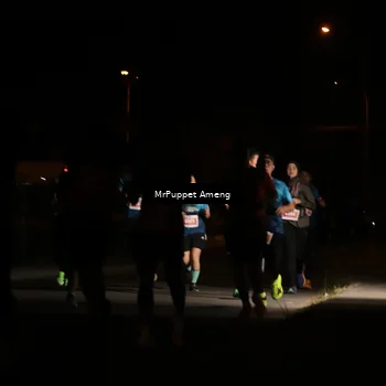 Runner Photo 4331253