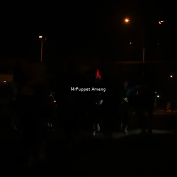Runner Photo 4331256