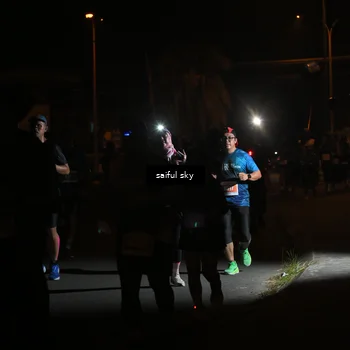 Runner Photo 4331259