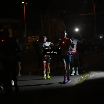 Runner Photo 4331287