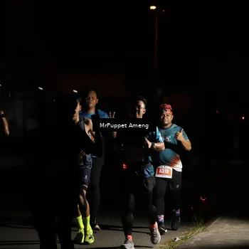Runner Photo 4331295