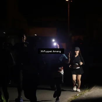 Runner Photo 4331297