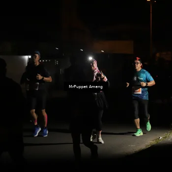 Runner Photo 4331300