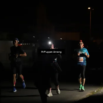 Runner Photo 4331304