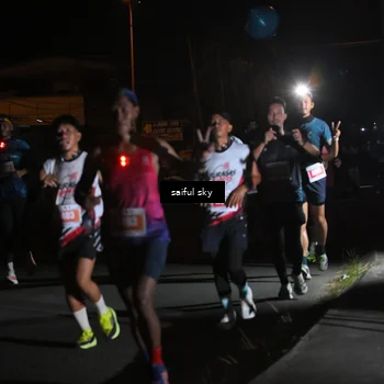 Runner Photo 4331305