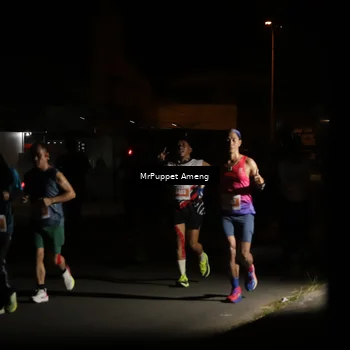 Runner Photo 4331307